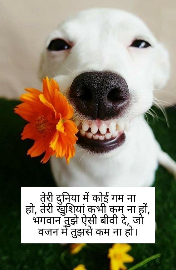 funny shayari in hindi 1
