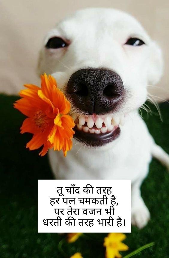 funny shayari in hindi 10