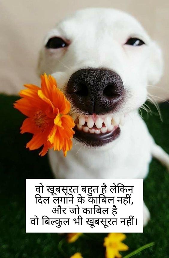 funny shayari in hindi 11