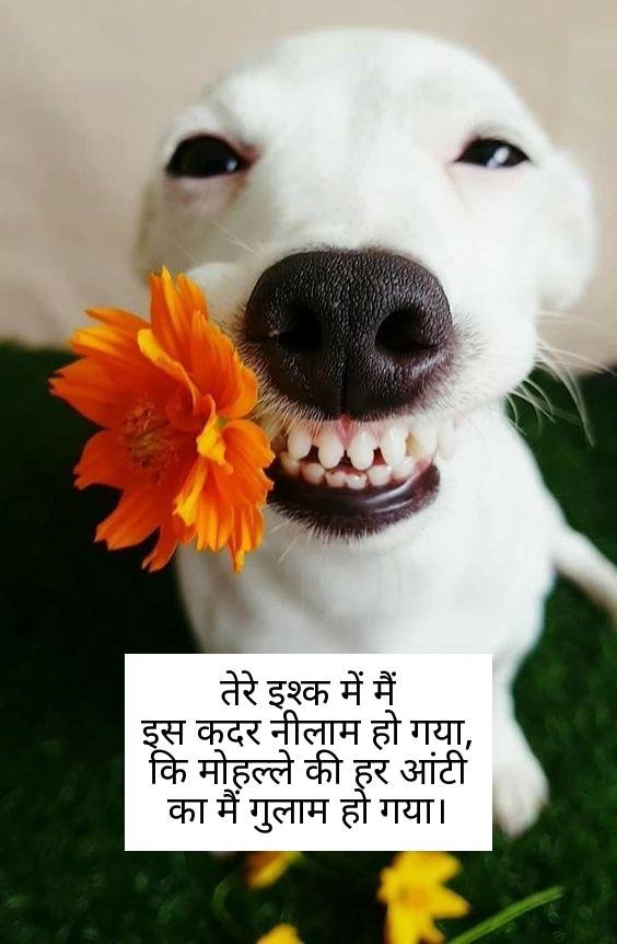 funny shayari in hindi 13
