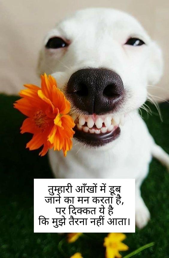 funny shayari in hindi 14