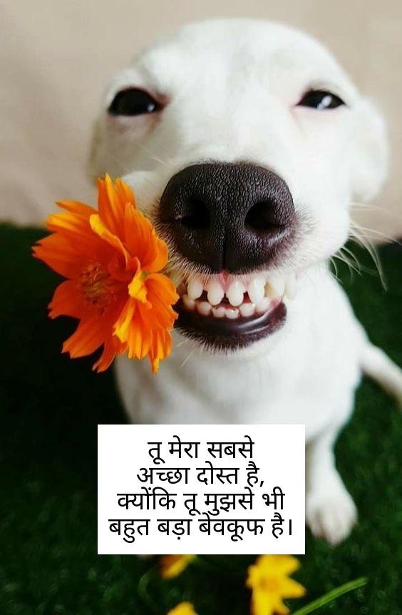 funny shayari in hindi 15