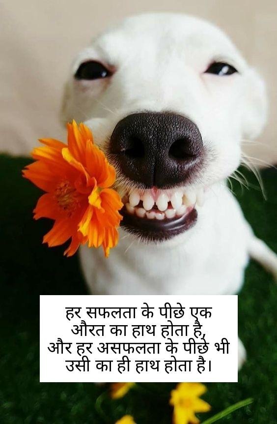 funny shayari in hindi 16