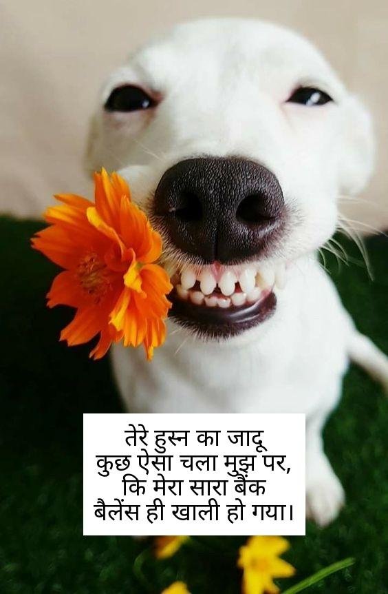 funny shayari in hindi 17