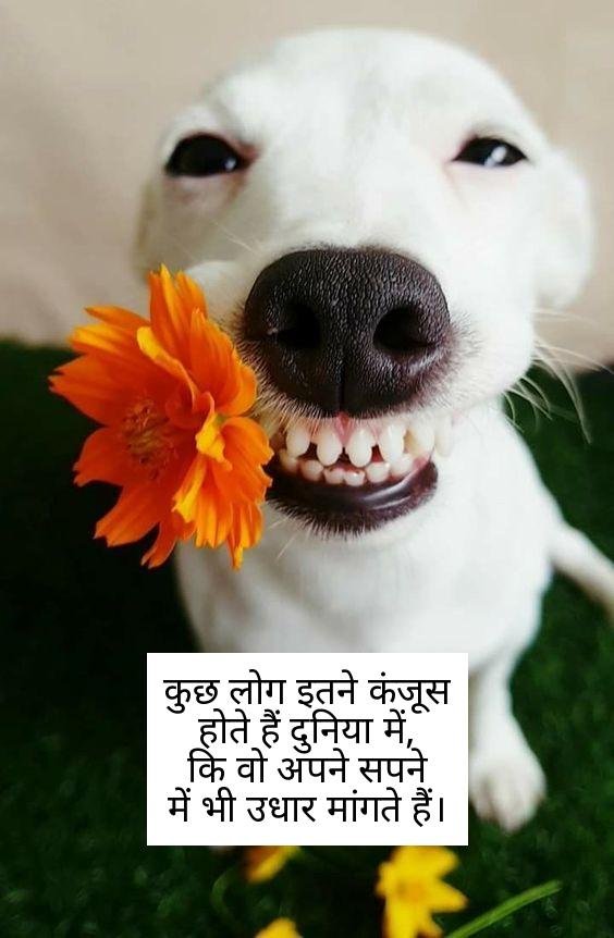 funny shayari in hindi 19
