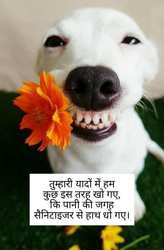 funny shayari in hindi 20