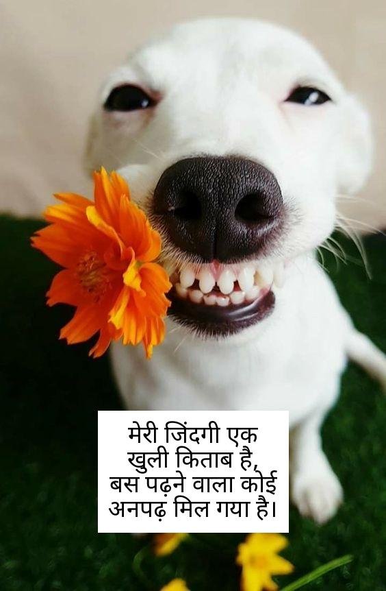 funny shayari in hindi 21