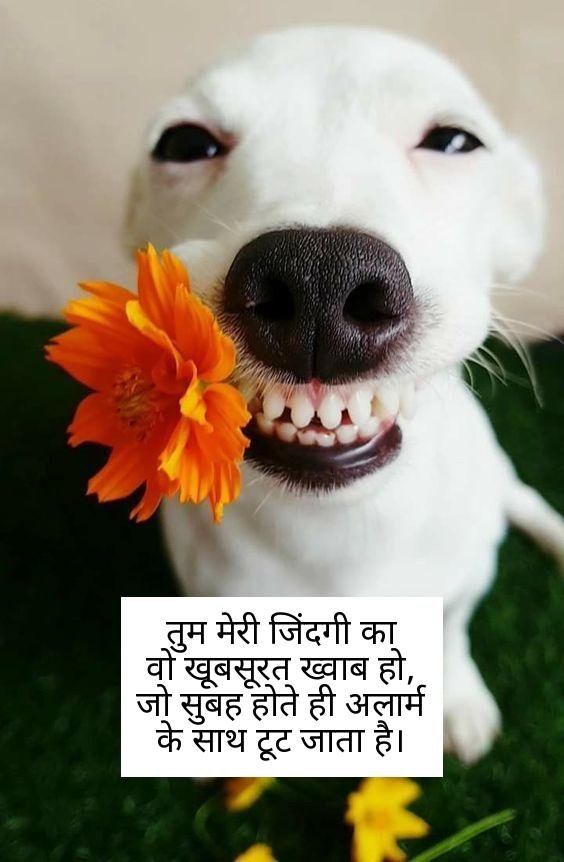 funny shayari in hindi 25