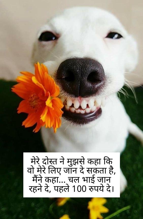 funny shayari in hindi 4