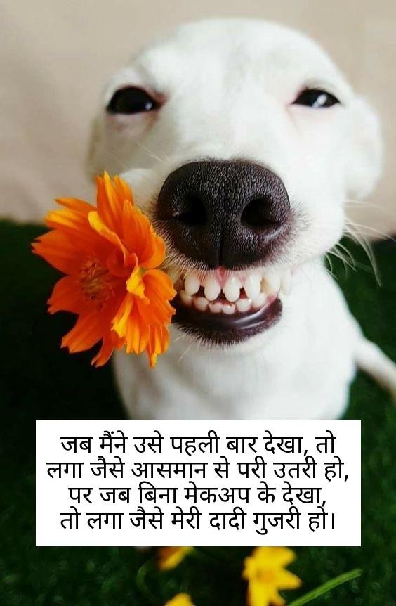 funny shayari in hindi 6