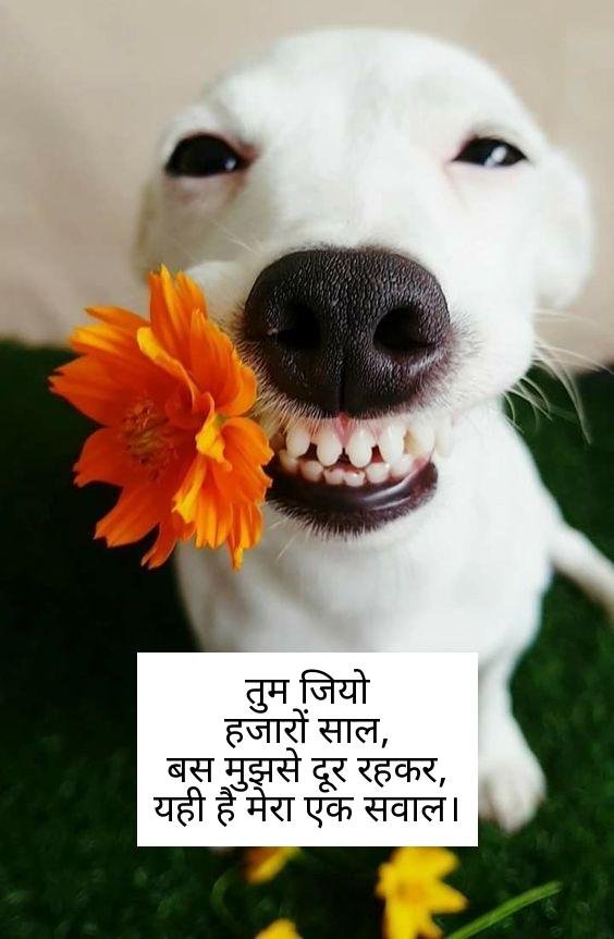 funny shayari in hindi 9